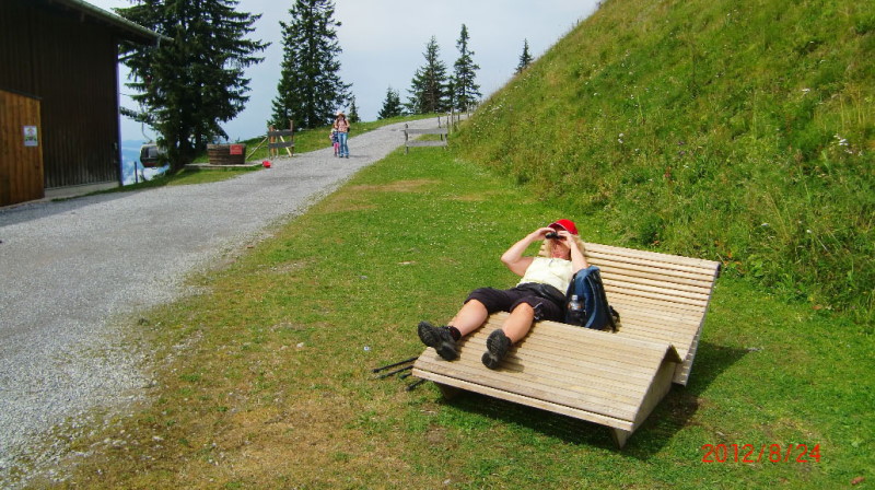 bild(41)